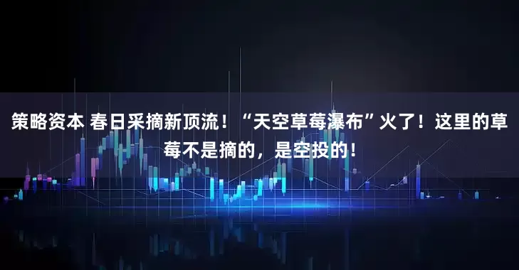 策略资本 春日采摘新顶流！“天空草莓瀑布”火了！这里的草莓不是摘的，是空投的！